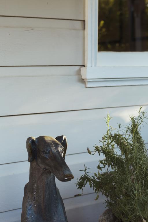 Illalangi Boutique Cottage Blackheath Buitenkant foto